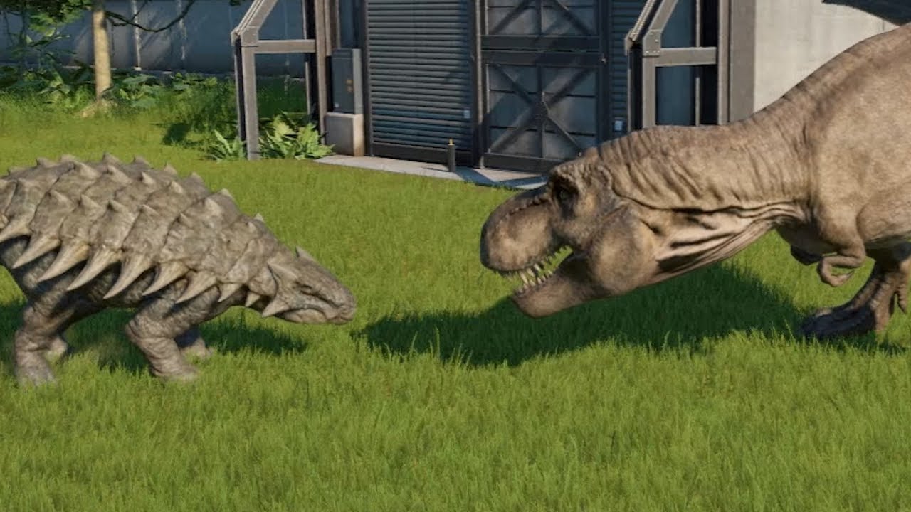 This is an ankylosaurs fighting a T. Rex