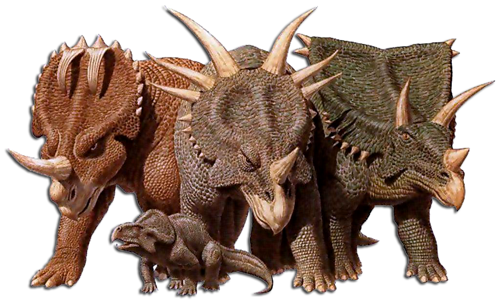 This is a picture of a bunch of different ceratopsians