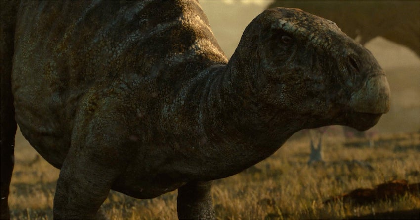 An iguanodon almost full-body, but most of the back legs cut off and you can't see the tail and it's in a field and it's the iguanodon from Dominion