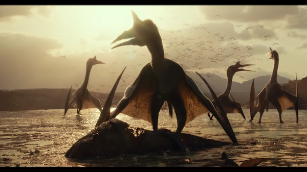 This is a picture of a bunch of quetzelcoaluses standing on a rock over the river