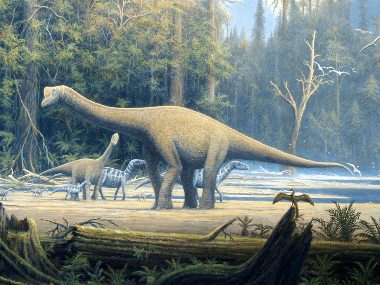 This is a picture of some iguanodontians around some sauropods