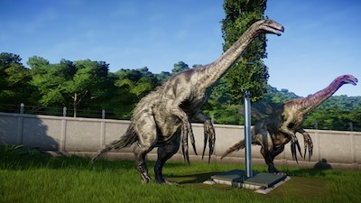 This is a picture of two therizinosauruses walking in an enclosure