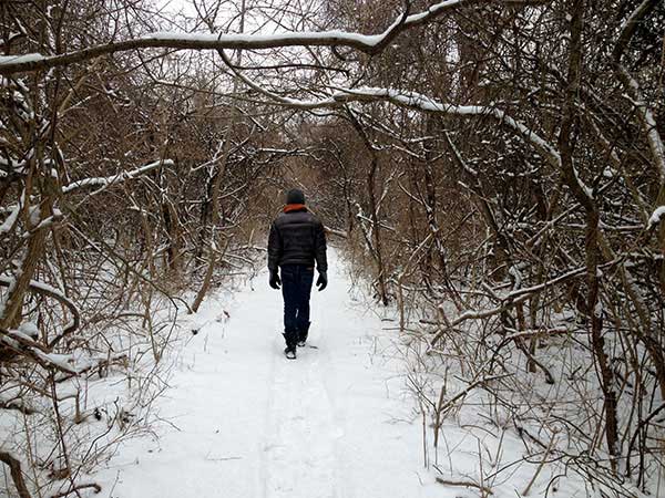 Hiking in Pulaski Woods